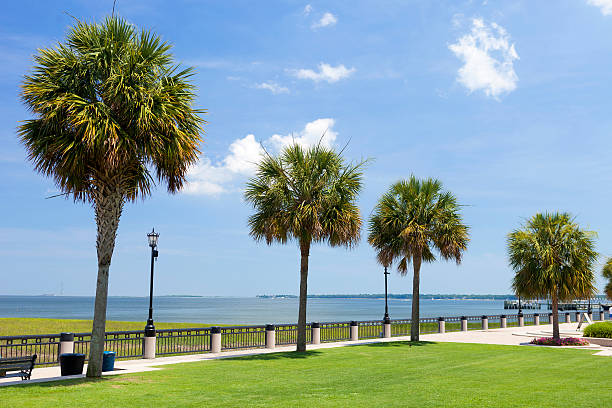 Beautiful Summer Day At Waterfront Park In Charleston, South Carolina, USA.