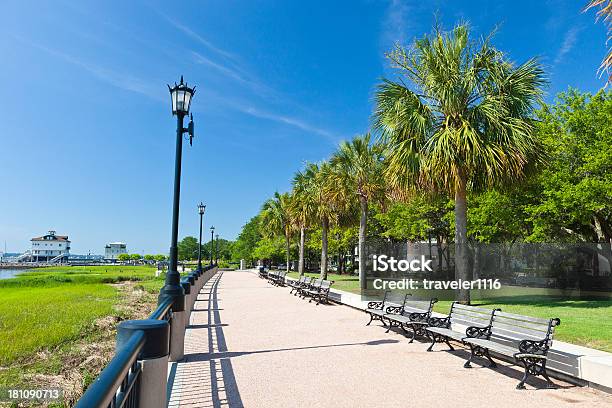 Waterfront Park Em Charleston Carolina Do Sul - Fotografias de stock e mais imagens de Carolina do Sul - Carolina do Sul, Palmeto, Ao Ar Livre