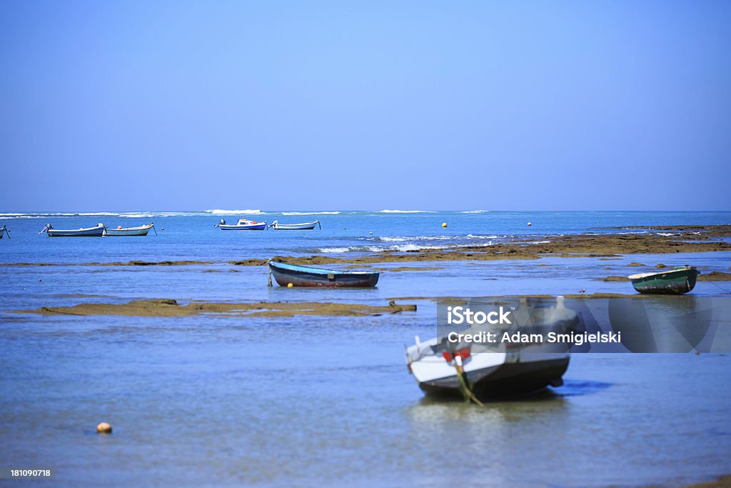 Barcos en la playa - Foto de stock de Abundancia libre de derechos