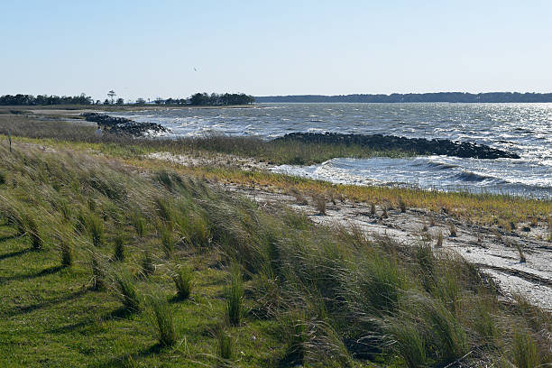 istock Scenery of Hilton Head Island 181090856