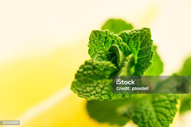 민트 레몬 슬라이스 0명에 대한 스톡 사진 및 기타 이미지 - 0명, 과일, 날것