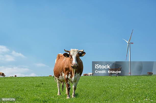 Kuh Herde Auf Der Pasture Vor Wind Turbine Stockfoto und mehr Bilder von Hausrind - Hausrind, Kuh, Windkraftanlage