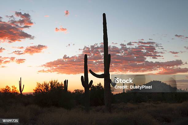 Saguaro Sunrise Stock Photo - Download Image Now - Arizona, Cactus, Cloud - Sky