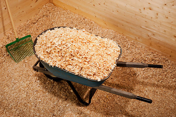 istock New Wood Shavings for Animal Bedding 181091945