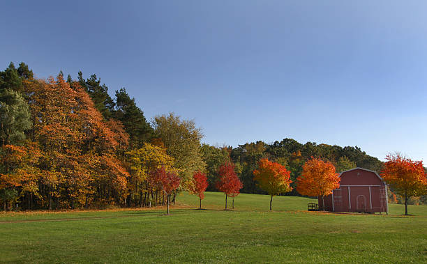 Autunno foglie e rosso di un fienile - foto stock