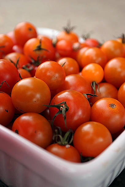 Cherry Tomatoes stock photo