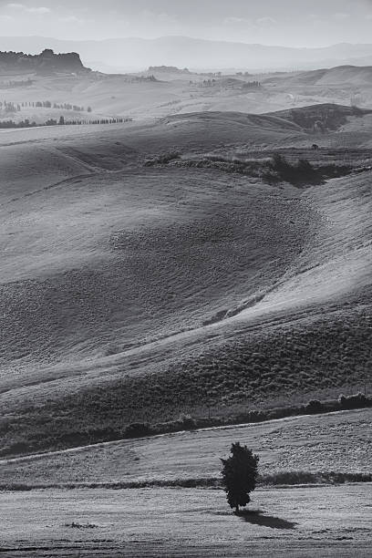 istock Tuscan landscape in Black and White 181092324