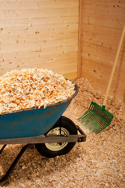 istock New Wood Shavings for Animal Bedding 181092498