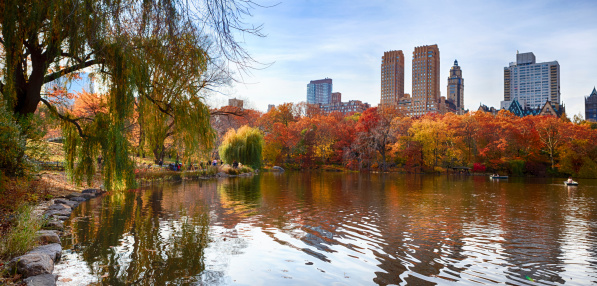 Panorama of Central Park at autumn