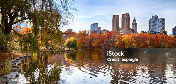 Central Park At Autumn Stock Photo - Download Image Now - Lincoln Center, Autumn, Central Park - Manhattan