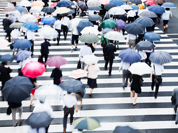 chuvoso usuários - umbrella parasol rain rush hour - fotografias e filmes do acervo