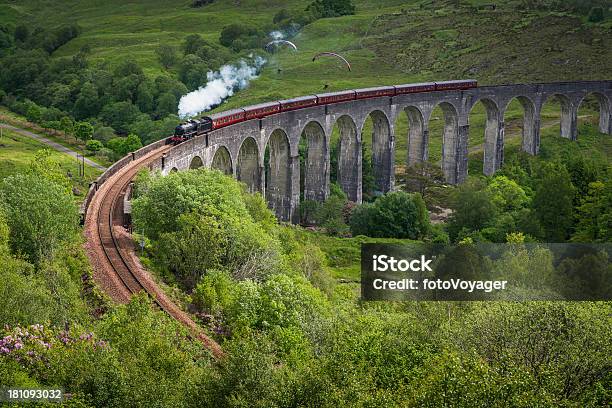 Zug Mit Dampflokomotiveviadukt Bei Highland Mountain Glen Schottland Stockfoto und mehr Bilder von Glenfinnan