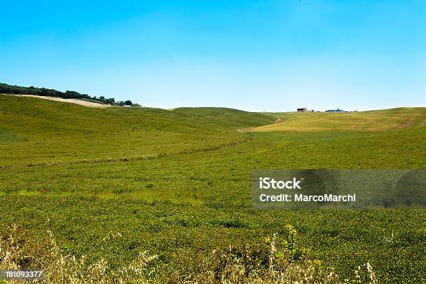 Toscana Paesaggio - Fotografie stock e altre immagini di Agricoltura - Agricoltura, Alba - Crepuscolo, Ambientazione esterna