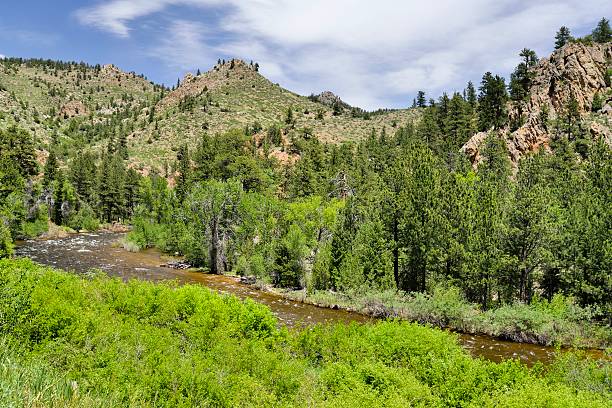 istock Poudre River flowing through rocky, mountainous forest.  181093614