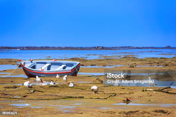 Barco Na Praia - Fotografias de stock e mais imagens de Abundância - Abundância, Ajardinado, Amarelo