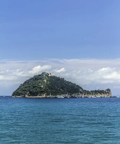 Gallinara Island is located in Ligurian Sea, Italy.