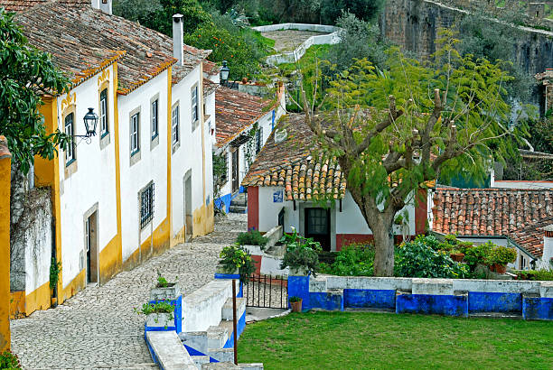 Cobblestone path in walled Portuguese town of Obidos Cobblestone path leading past houses in scenic and historic walled town of Obidos, Portugal obidos photos stock pictures, royalty-free photos & images