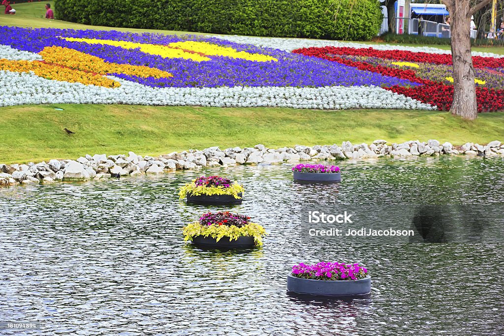 Fleurs flottant sur l'eau - Photo de Bleu libre de droits