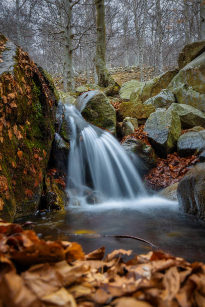 스페인 montseny 산의 아름다운 작은 폭포. 장노출 이미지. - awe beauty in nature waterfall cool 뉴스 사진 이미지