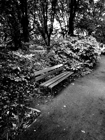 A grayscale of a wooden park bench in a park