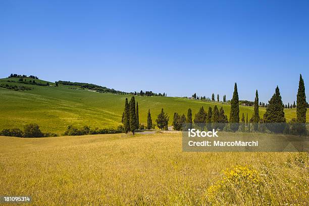 トスカーナの風景 - イタリアのストックフォトや画像を多数ご用意 - イタリア, イタリア文化, イトスギ