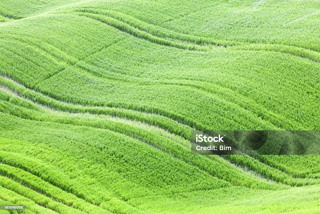 Холмистый Зеленые поля весной, Валь д'Орча, Тоскана, Италия - Стоковые фото Абстрактный роялти-фри