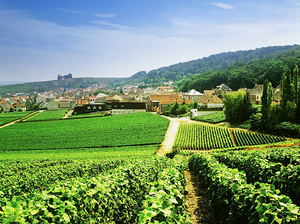 champagne a view over champagne vineyards towrads the town of epernay, champagne region, france champagne region photos stock pictures, royalty-free photos & images