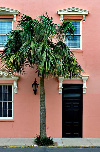 hôtel dans le quartier historique de charleston - pink buildings photos et images de collection