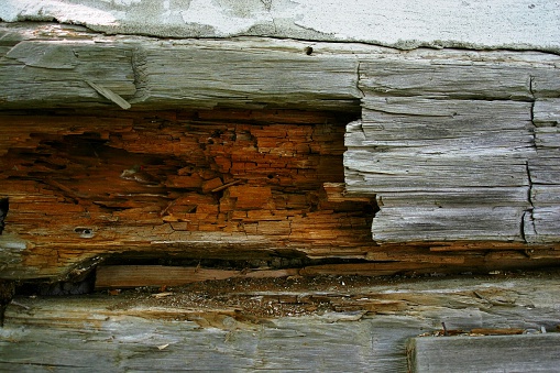 Old log wall