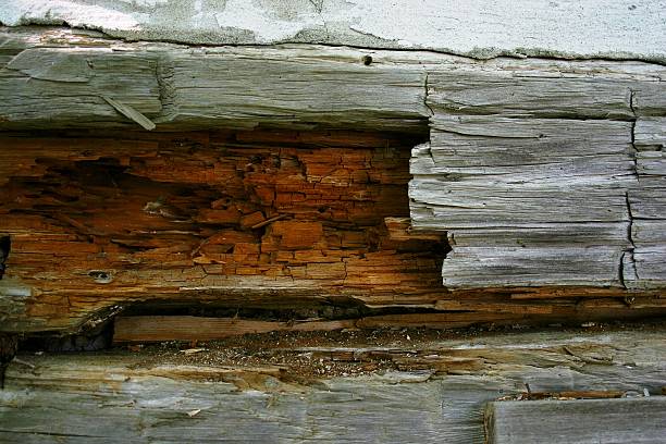 Velha parede de madeira - foto de acervo