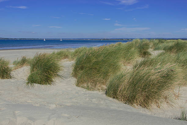 istock sussex 181096884