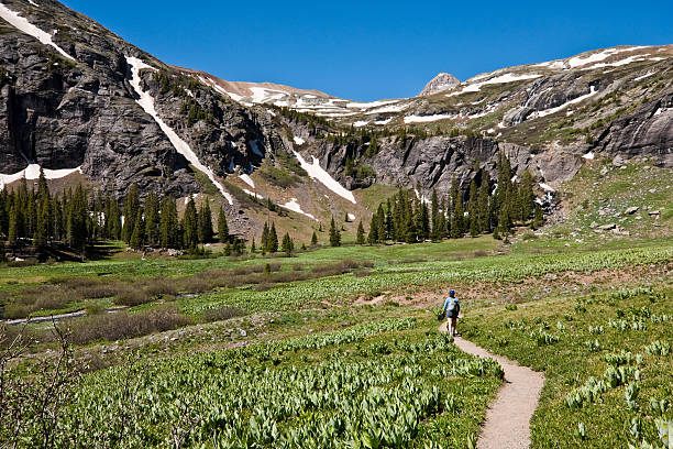 Woman Hiking to Upper Ice Lakes Basin The San Juans in southern Colorado are a high altitude range of mountains that straddle the Continental Divide. This wide-open landscape, at an elevation of 11,400 feet above sea level, is well above timberline. This woman hiker was photographed crossing a meadow at Lower Ice Lake Basin in the San Juan National Forest near Silverton, Colorado, USA. jeff goulden san juan mountains stock pictures, royalty-free photos & images