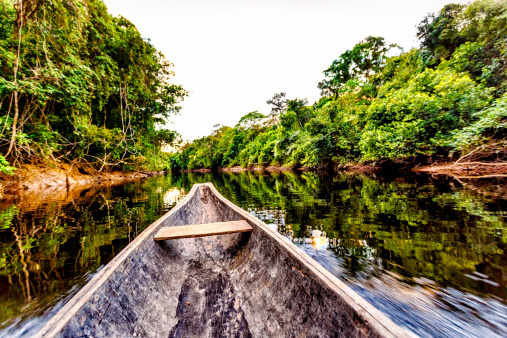 Sailing on Indigenous wooden canoe on a river in the Amazon state Venezuela
