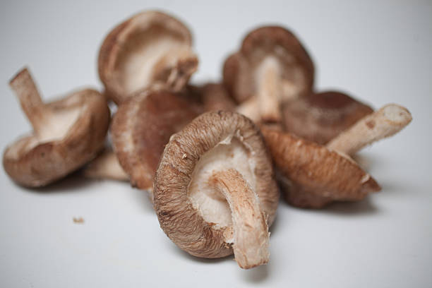 Shiitake mushrooms on white countertop stock photo