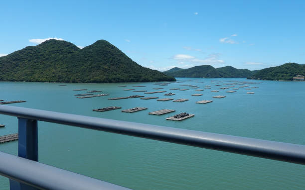 日瀬湾に架かる備前星大橋(岡山県備前市)