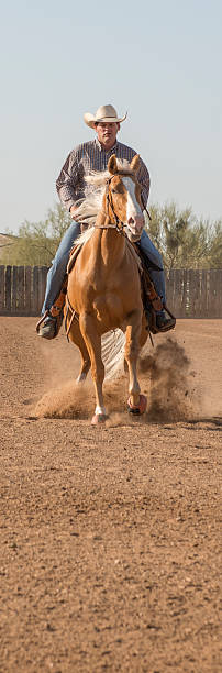 istock Cowboy stopping his palomino 181097808