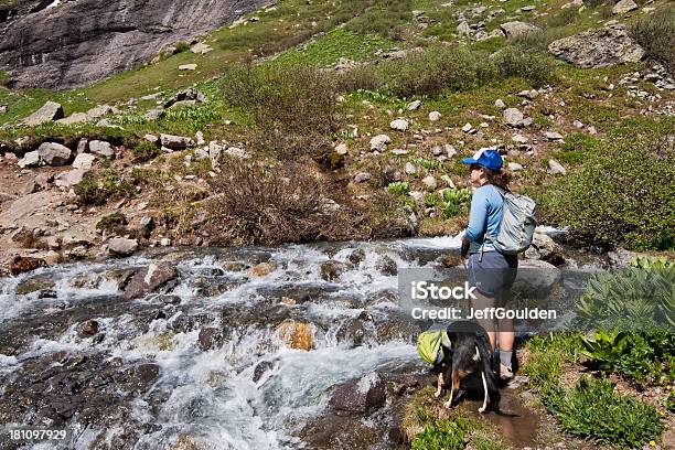 Woman Hiker And Dog At A Stream Crossing Stock Photo - Download Image Now - Colorado, Dog, Hiking