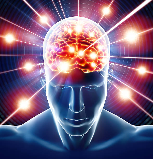 istock Brain in head receiving rays of information 181098082