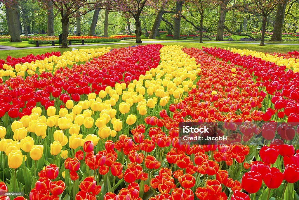 春の花の公園 - オランダのロイヤリティフリーストックフォト