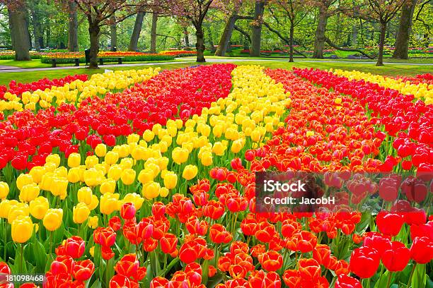 Foto de Primavera Flores No Parque e mais fotos de stock de Ajardinado - Ajardinado, Amarelo, Azul