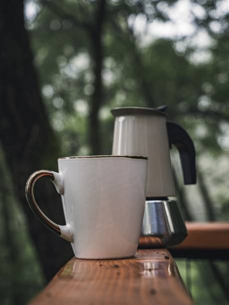 istock Moka pot bio coffee maker and white mug on a green rain forest balcony 1810986192