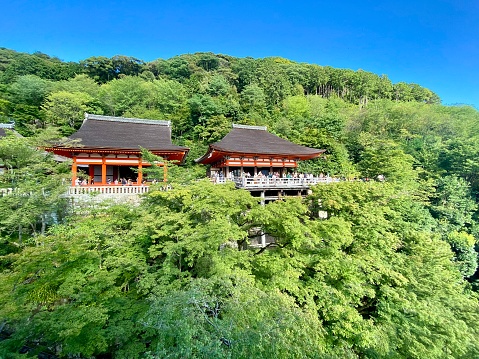 Japan - Kyoto - Kiyomizu-dera temple  and panoramic view on the Forest around Kyoto district