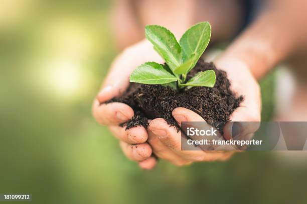 Proseguire La Crescita - Fotografie stock e altre immagini di Accudire - Accudire, Affari, Agricoltore