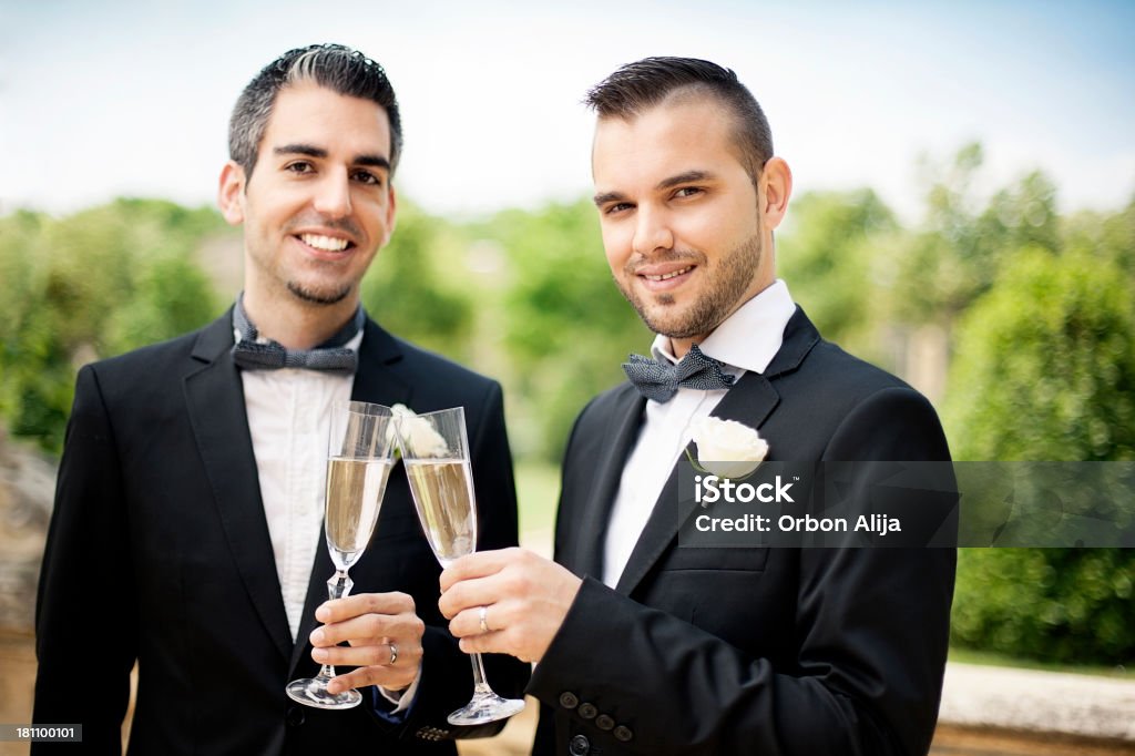 Ritratto di Gay di coppia facendo un brindisi - Foto stock royalty-free di Persona gay