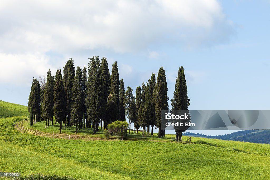 Árvores de cipreste e colinas, Toscana, Itália - Foto de stock de Abstrato royalty-free