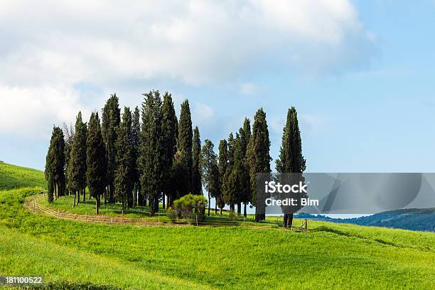 Foto de Árvores De Cipreste E Colinas Toscana Itália e mais fotos de stock de Abstrato - Abstrato, Agricultura, Ajardinado