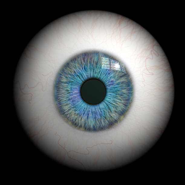 Eyeball close up. Close up of an isolated human eye. CGI. eyeball stock pictures, royalty-free photos & images