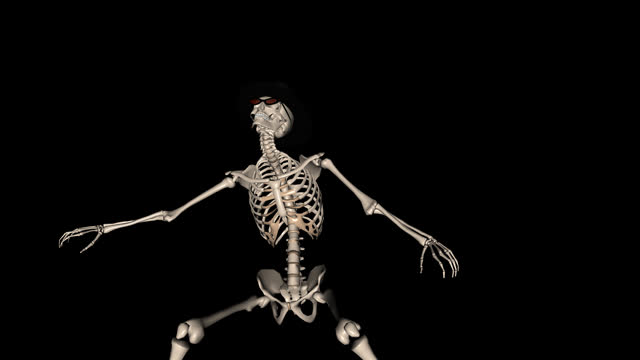 Skeleton Show Dancer - Alpha Channel