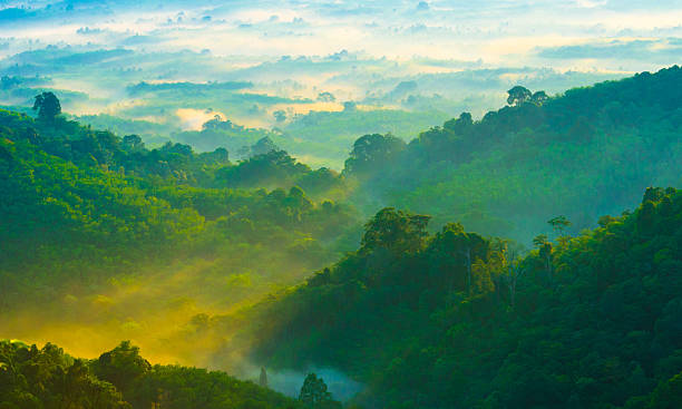 Beautiful sunrise at misty morning mountains .