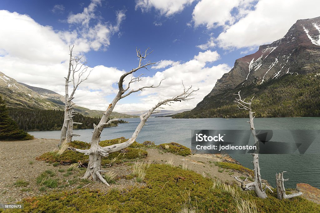 Parque Nacional Glacier - Foto de stock de Beleza natural - Natureza royalty-free